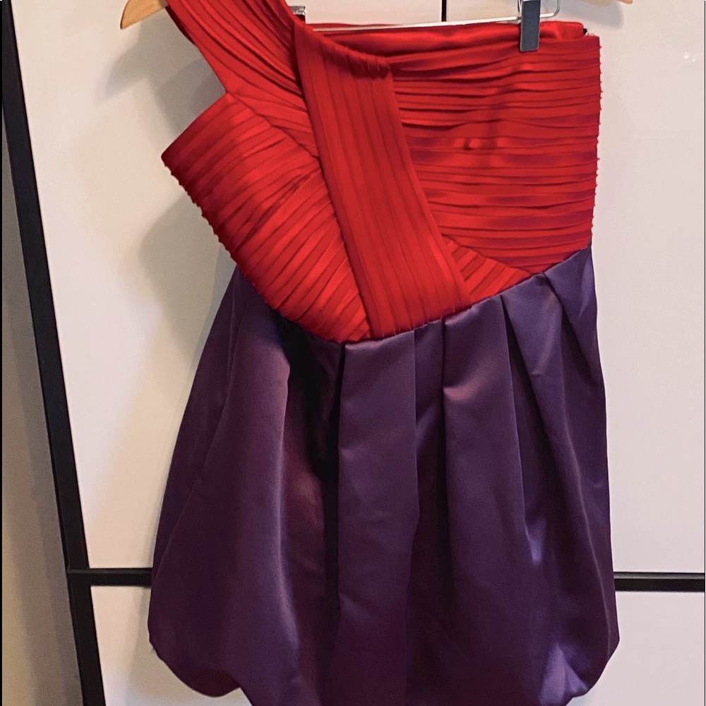 Festive Red & Purple A.B.S Dress For Holiday Cards - Picture 7 of 16